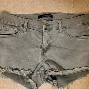 Flying Monkey Denim Shorts
